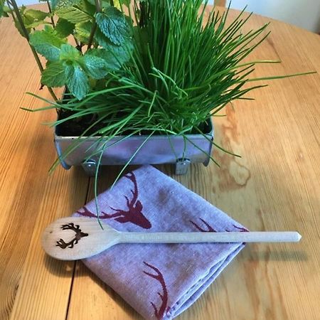 Königsfeld im Schwarzwald Ferienwohnung Auszeit المظهر الخارجي الصورة